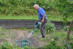 Cliquez sur la vignette pour l'agrandir